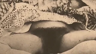 584 hairy pussy porn videos